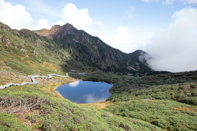 pexels-fei-wang-14307386