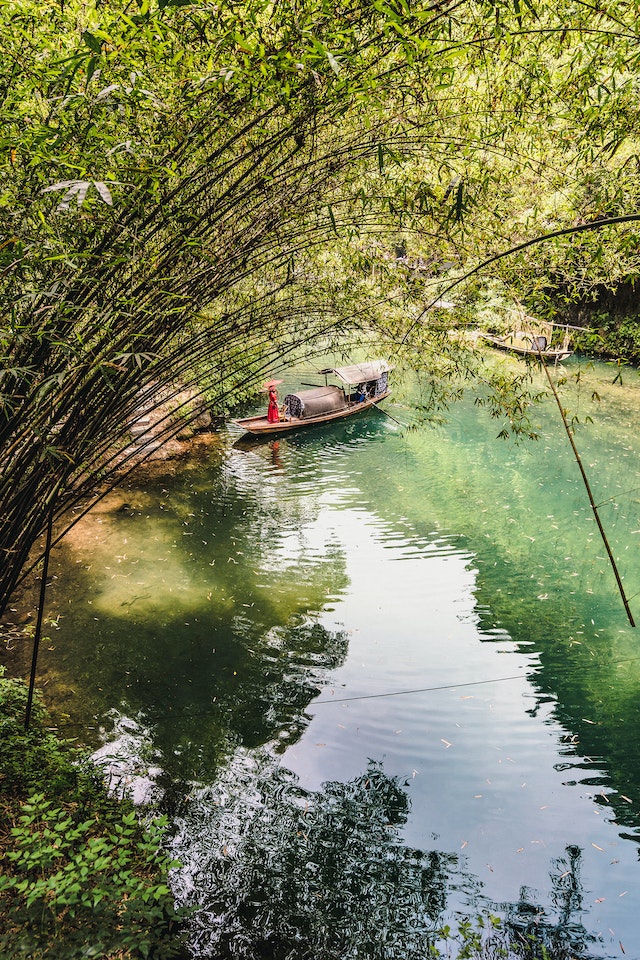 pexels-jiawei-cui-2310876